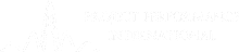 PPI INT SERVICES